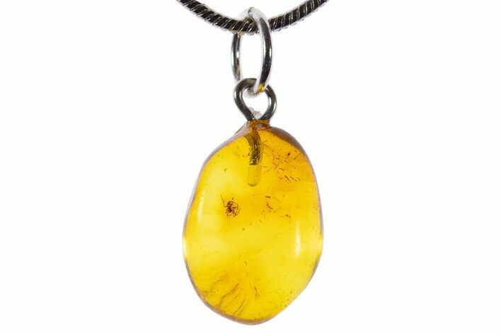 Polished Baltic Amber Pendant (Necklace) - Contains Spider! #339618